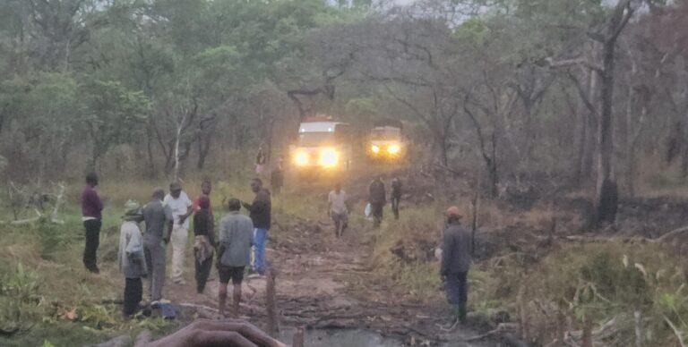 Manono : Sa Majesté Joseph Mukungubila Mutombo lance l'ouverture d'une route de désenclavement vers les villages oubliés